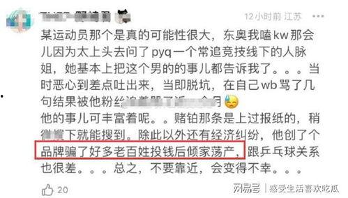 群众吃瓜系列视频片段,揭秘热门视频背后的故事