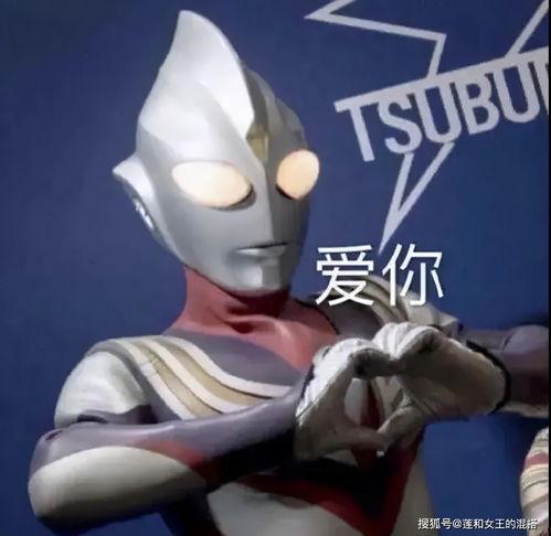 小迪迦吃瓜王泡芙视频,趣味横生美食大比拼