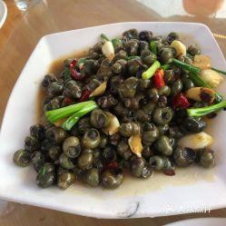 鸡瓜螺怎么吃最好吃视频,视频教你如何烹饪最佳口感