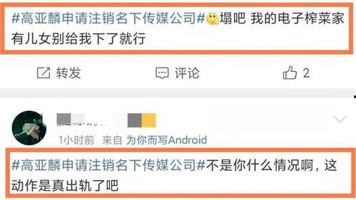 吃瓜视频能不能分享,分享潮流娱乐的全新方式