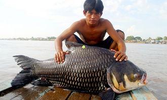 渔民演戏吃瓜视频播放全集,视频播放全集揭秘幕后故事