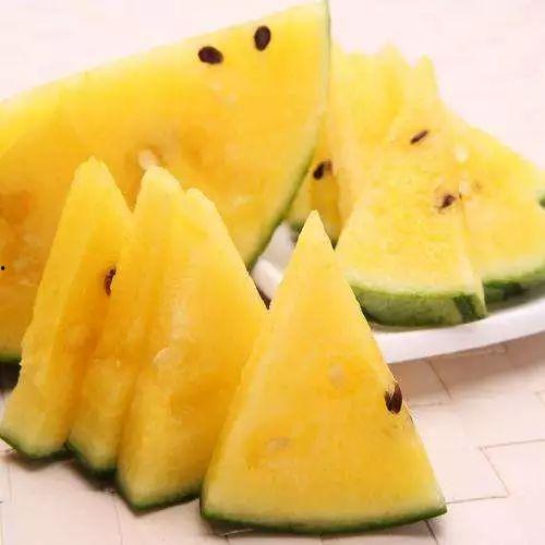 开平一中吃瓜视频,揭秘校园生活趣味瞬间