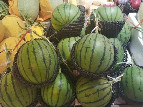 开平一中吃瓜视频,揭秘校园生活趣味瞬间