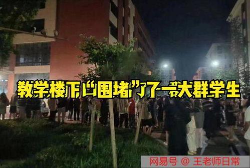 离谱吃瓜事件视频播放网站,热门视频网站带你领略网络奇观