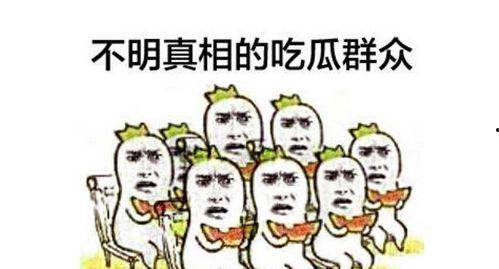美味吃瓜群众视频下载,揭秘热门视频下载攻略