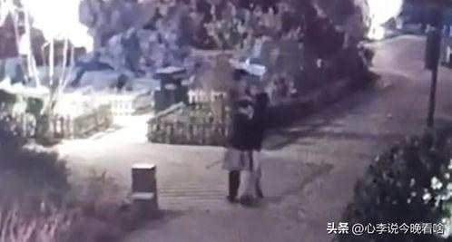 曹县吃瓜的原视频,一场网络狂欢背后的真相揭秘