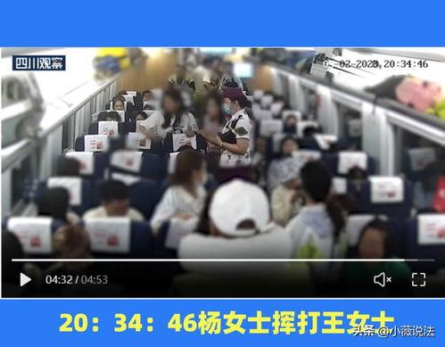 石家庄吃瓜事件视频最新,一场网络热议背后的真相揭秘