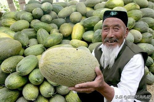 山西人吃哈密瓜好吗视频,地域美食碰撞新体验