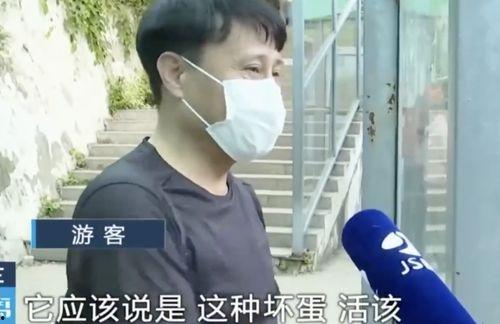 网红集体吃瓜视频