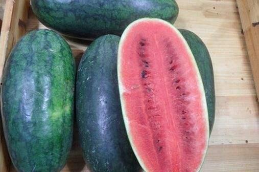 黑美人吃瓜视频,揭秘娱乐圈幕后真相