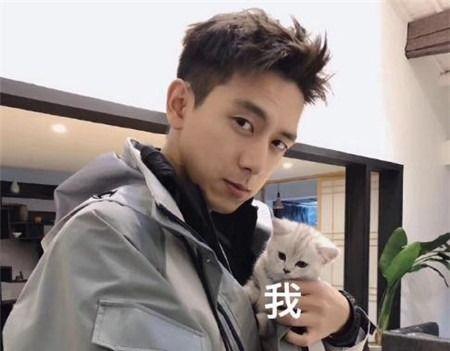 李现吃瓜视频真假,真假难辨，真相揭秘